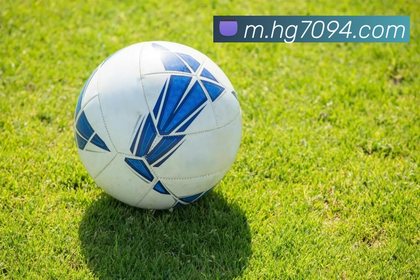 奖项图3